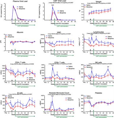 Morphine suppresses peripheral responses and transforms brain myeloid gene expression to favor neuropathogenesis in SIV infection